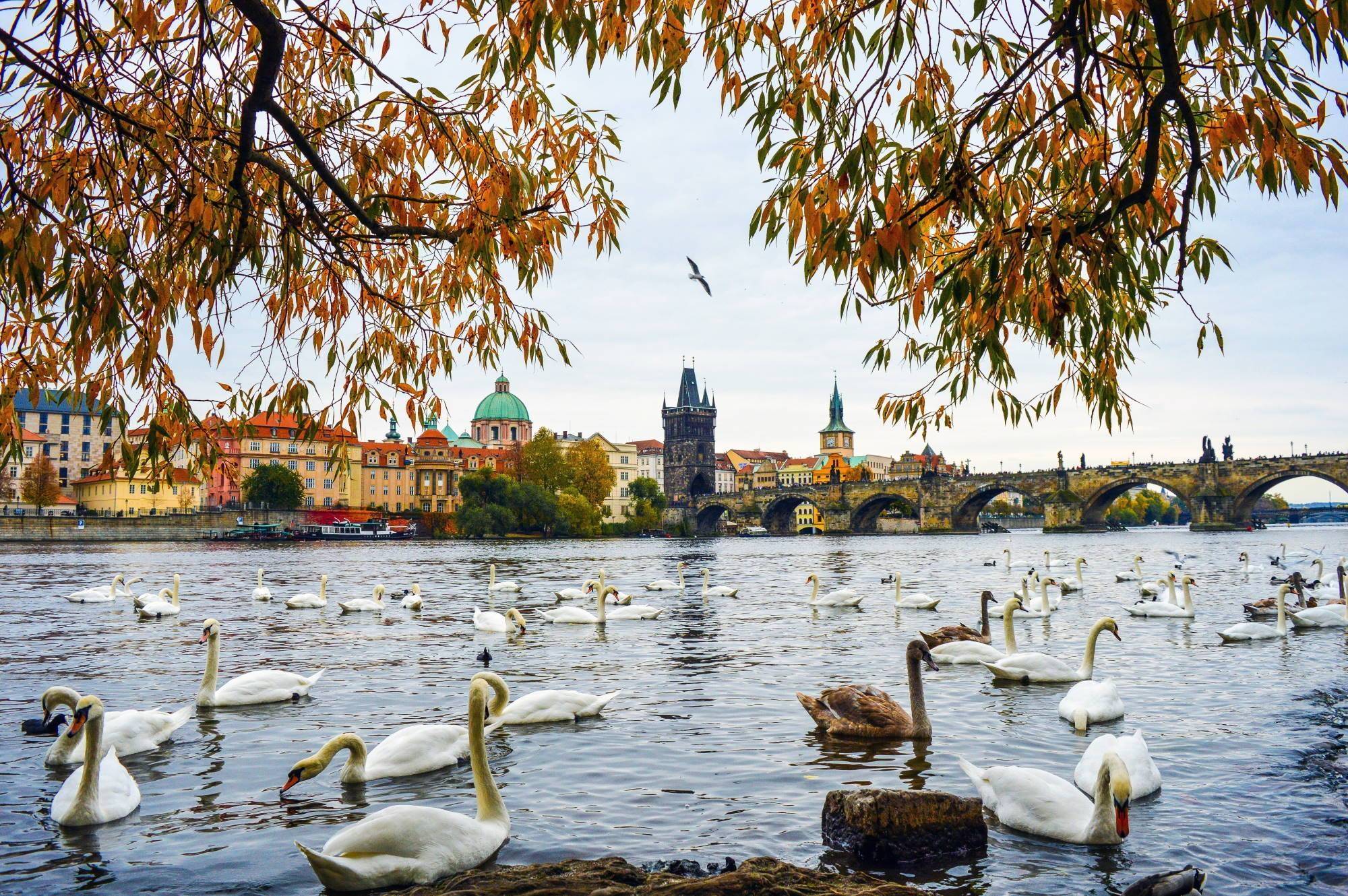 Schoolreis Praag