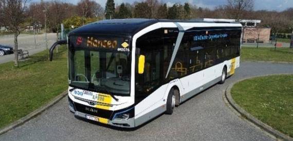 Hansea bus
